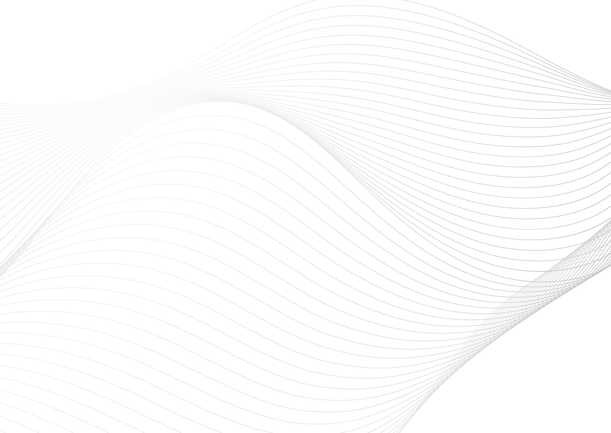 Web Site Tasarımcısı, Aslanapa